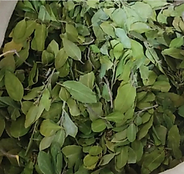 SİDR YAPRAĞI SİDİR YAPRAĞI  150 GR