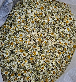 PAPATYA 100 GR