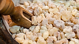 SANDALOZ SAKIZI 200 GR