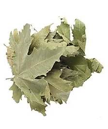 ÇINAR YAPRAĞI 150 GR