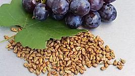 ÜZÜM ÇEKİRDEĞİ 150 GR