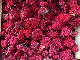 NAR ÇİÇEĞİ 100 GR