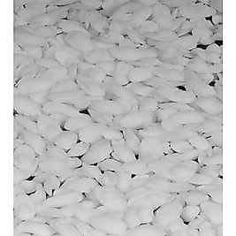 BALIK TAŞI EKŞİNA