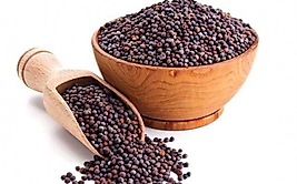 SİYAH HARDAL 150 gr