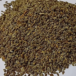 MAYDANOZ TOHUMU 150 GR