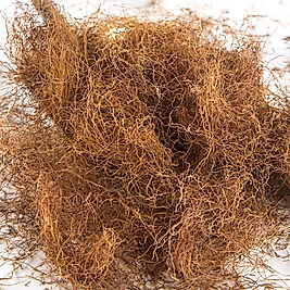 MISIR PÜSKÜLÜ 100 GR