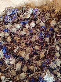 PEYGAMBER ÇİÇEĞİ 150 GR