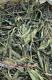 SİNİRLİ OT 150 GR