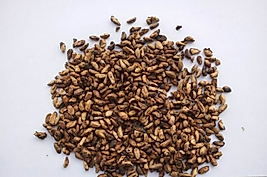 NAR ÇEKİRDEK 150 GR