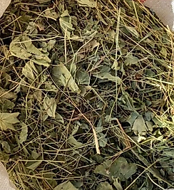 ASLAN PENÇESİ 150 GR