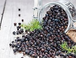 ARDIÇ TOHUMU 150 GR