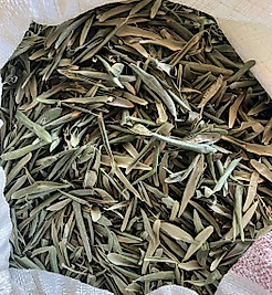 ZEYTİN YAPRAĞI 200 GR