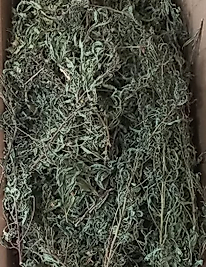 YAPIŞKAN ANDIZ OTU 150 GR