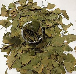 GİNKO BLOBA BİLOBA 150 GR