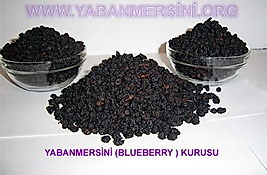 BLUEBERRY YABAN MERSİNİ