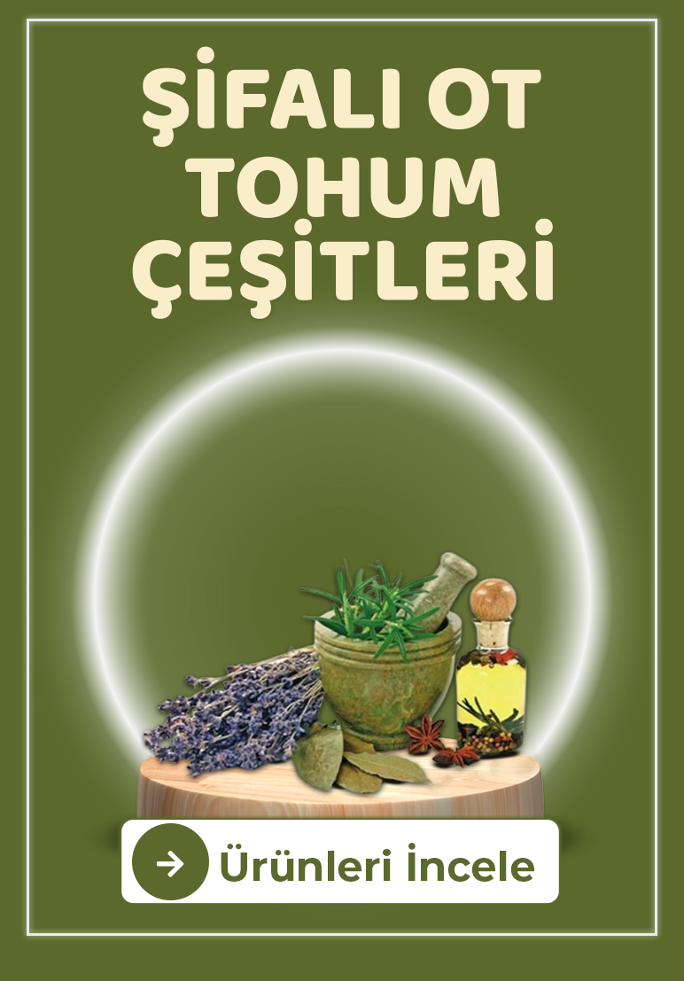 Kozmetik ve Bakım Ürünleri (Bitkisel)