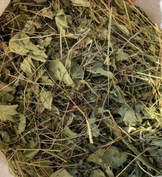 ASLAN PENÇESİ 150 GR