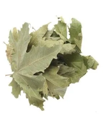 ÇINAR YAPRAĞI 150 GR