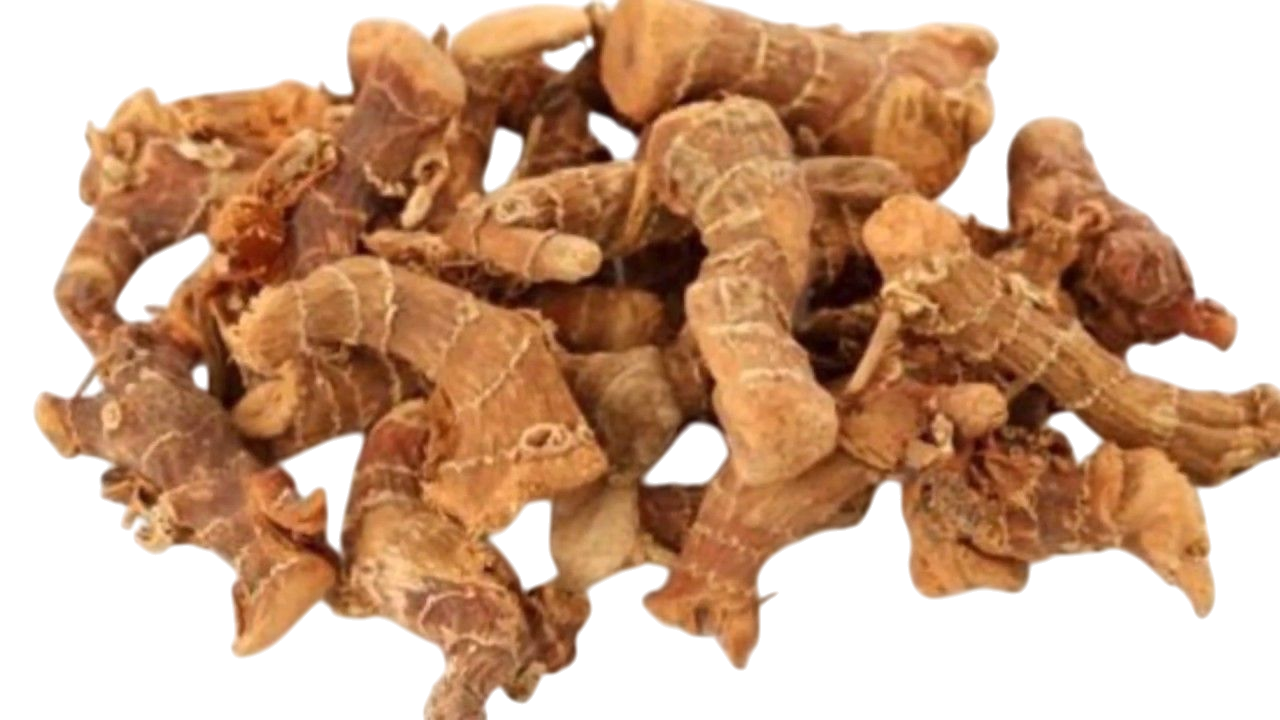 HAVLICAN KÖK 150 GR