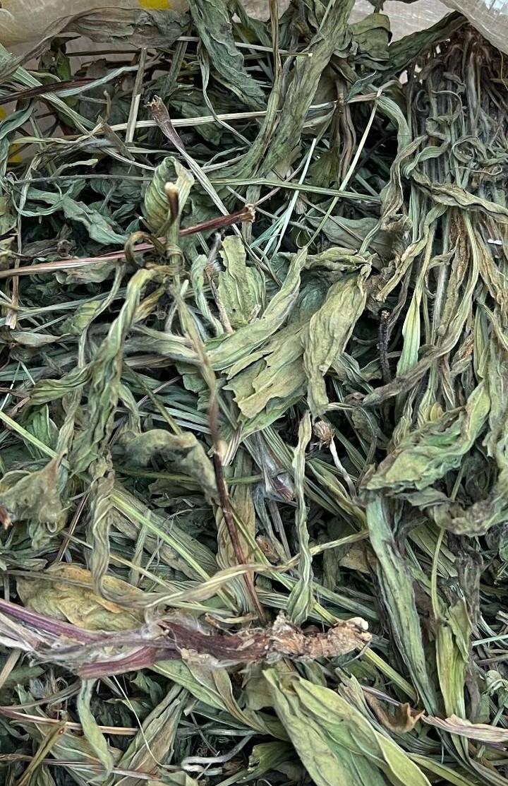 SİNİRLİ OT 150 GR