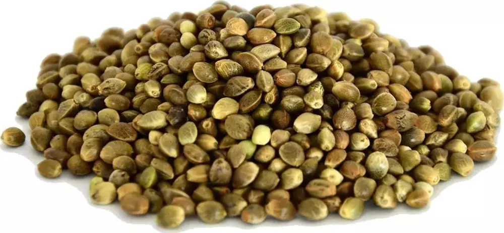 KENEVİR TOHUMU 150 GR