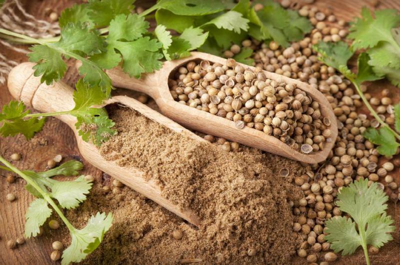 KİŞNİŞ TOZ 150 GR