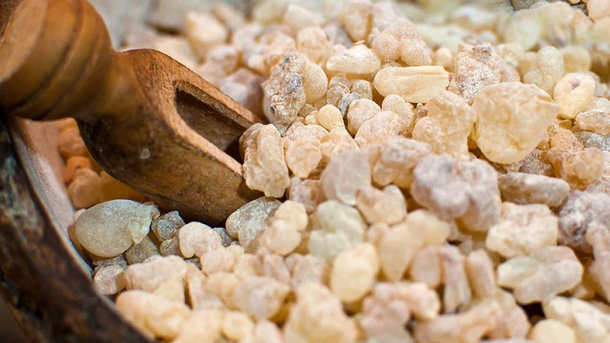 SANDALOZ SAKIZI 200 GR