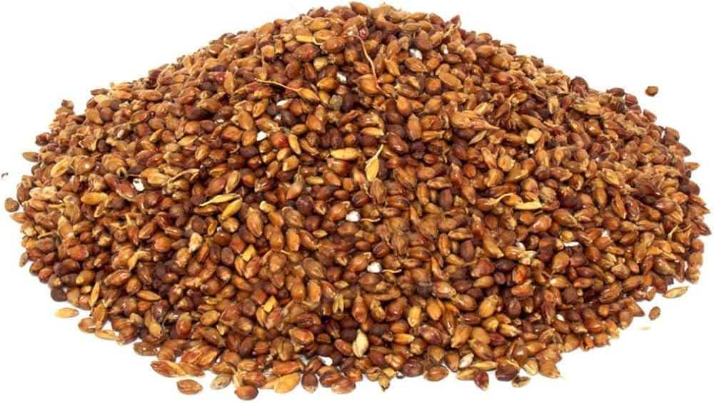 SÜPÜRGE TOHUMU 150 GR