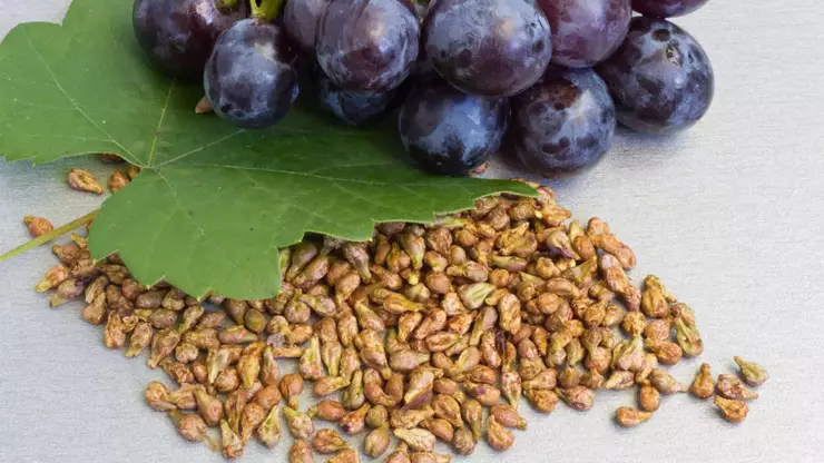 ÜZÜM ÇEKİRDEĞİ 150 GR