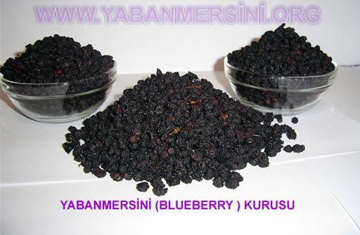 BLUEBERRY YABAN MERSİNİ