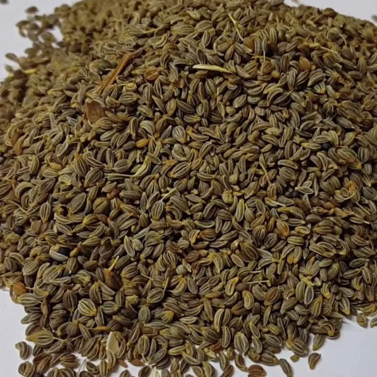 MAYDANOZ TOHUMU 150 GR