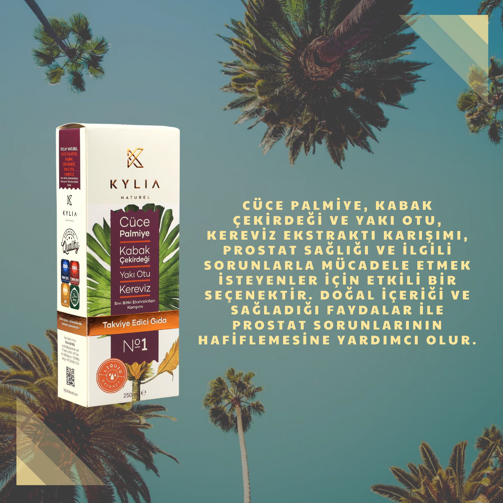 KYLİA Cüce Palmiye Kabak Çekirdeği Yakı Otu Kereviz Ekstraktı (Ekstresi)  Sıvı Takviye Edici Gıda 250 Ml.