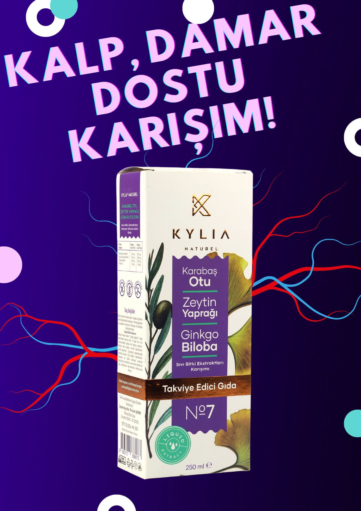 KYLİA Karabaş Otu, Zeytin Yaprağı Ve Ginkgo Biloba Ekstraktı (Ekstresi) Sıvı Takviye Edici Gıda 250 Ml.