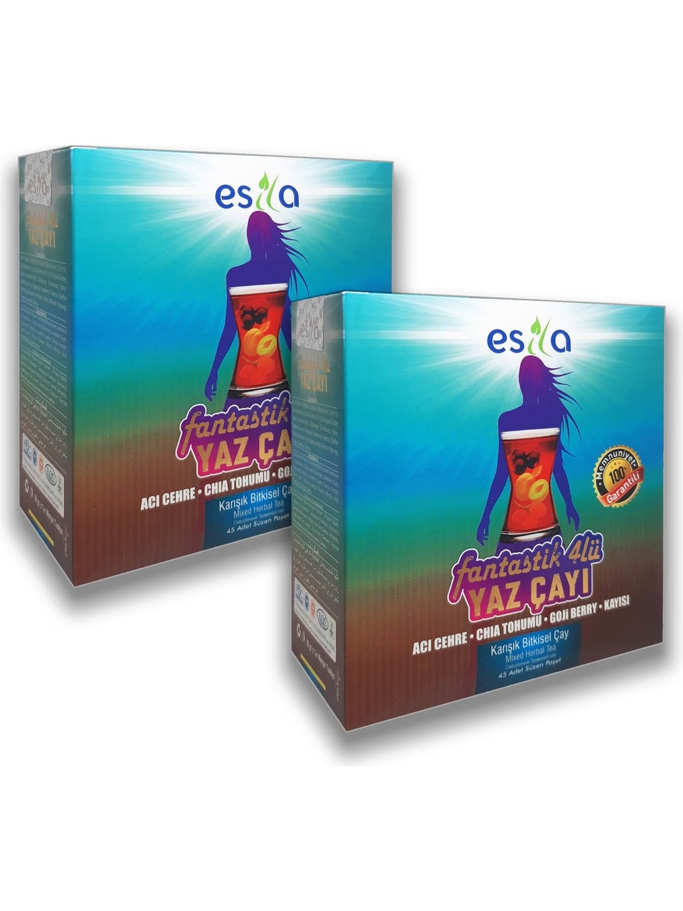 Esila Fantastik Dörtlü Yaz Karışık Süzen Poşet Çay 45'li 2 kutu